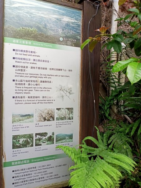 陽明醫院舊址、陽明山前山公園、紗帽山步道、紗帽路、臺北市教師研習中心【走遍陽明山】2121939