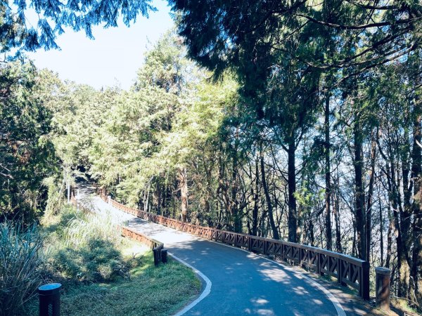 20251209 阿里山-小笠原觀景平台、祝山觀日步道2959807