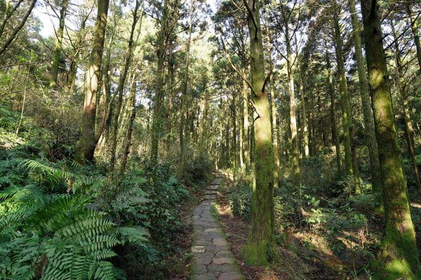 臺北 士林 香對山、頂山、杏林山、北五指山、高頂山、北頂山、馬蕃山、頂山溪山、五指山2703247