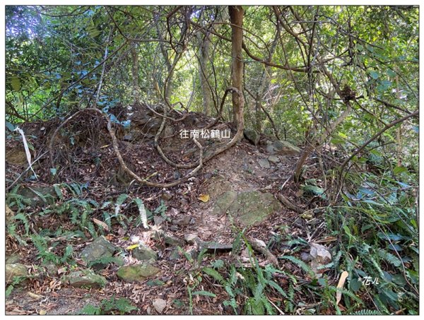 南松鶴山～八仙山 (台中 和平)2926076