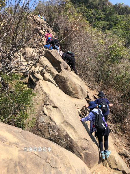 【小百岳】旗尾山，旗靈縱走，步道巨石錯落，攀繩陡坡，具有挑戰性2289335