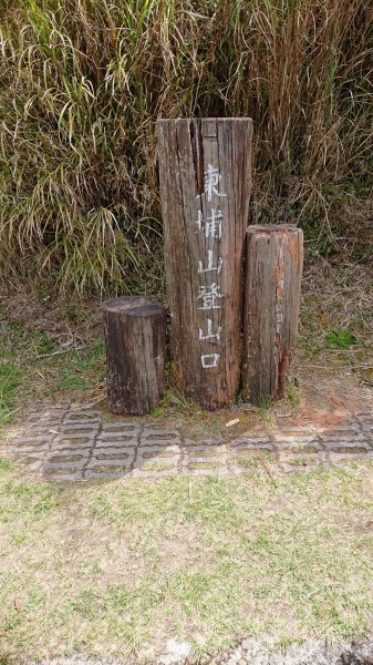 20200418東埔山-東埔大草原1625328