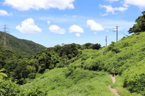 HK - 鷓鴣山1044405