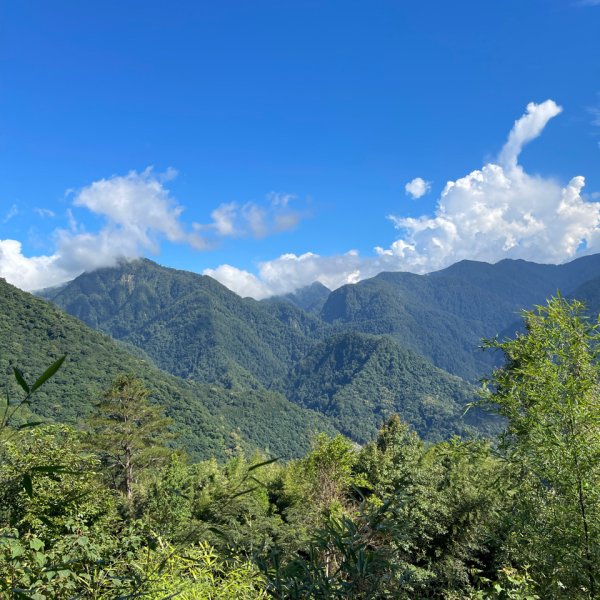 1140825司馬庫斯新巨木園區-司立富瀑布-部落觀景台2871237