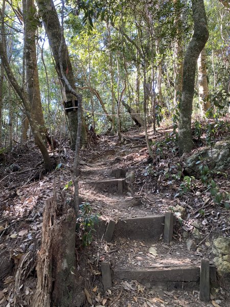 屋我尾山3059382