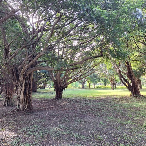 「2025 臺北健走趣」12行政區完成!2838593