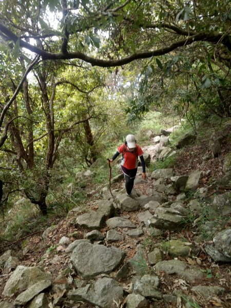 谷關七雄之東卯山1935222