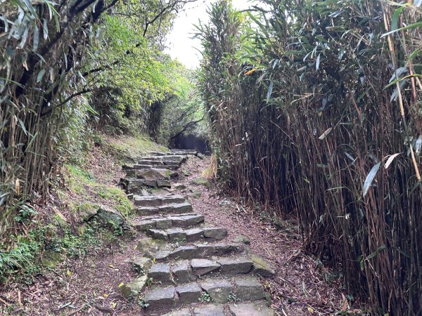 臺北大縱走第三四段2751114