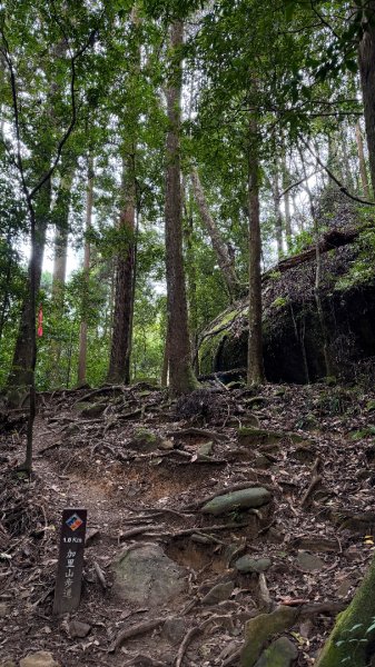 加里山 2025 12/282971707