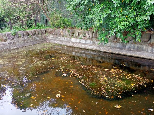 【臺北大縱走 5】文間山→鄭成功廟步道→圓明寺步道, 《輕鬆好行的劍南山、婆婆橋步道、故宮》1350823