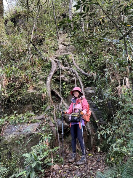 山毛櫸掉光光的 卡保逐鹿O繞 202511152937470