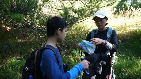 池有山單攻登山健行趣(百岳52)1515197