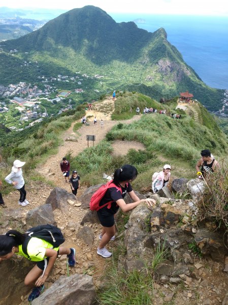 2019-08-31瑞芳-無耳茶壺山759986