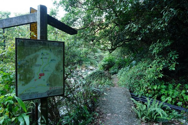 新北 萬里 鹿崛坪山、富士坪山、大尖山2353357