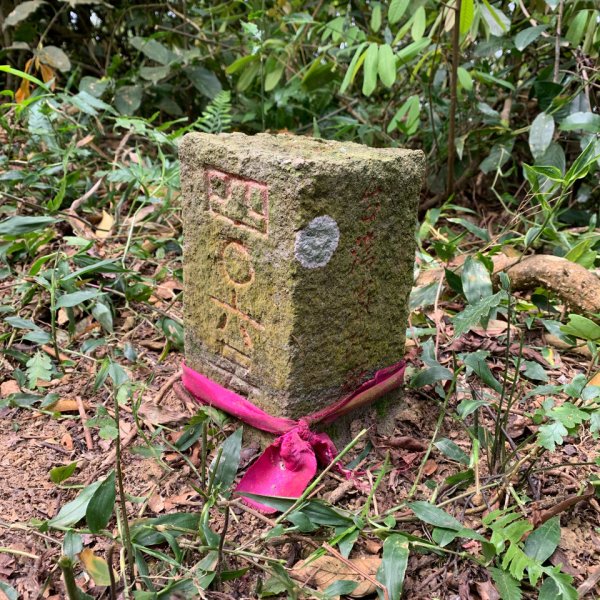 20250419屏東佳平山-虻彈山2767927