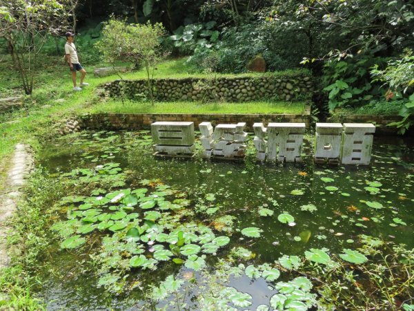 旱溪源頭自然生態區2878015