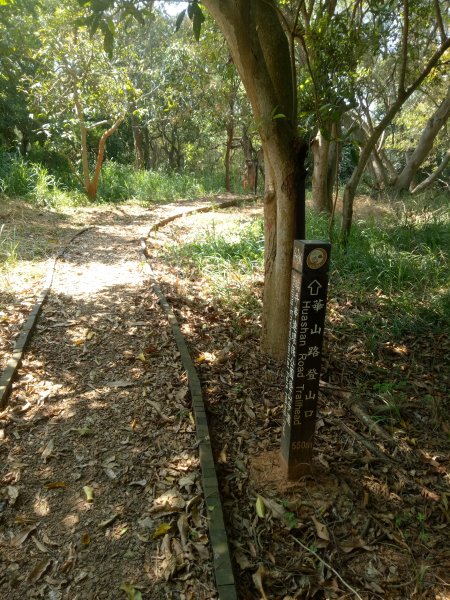 大肚瑞井古井步道、瑞井登山步道1888835