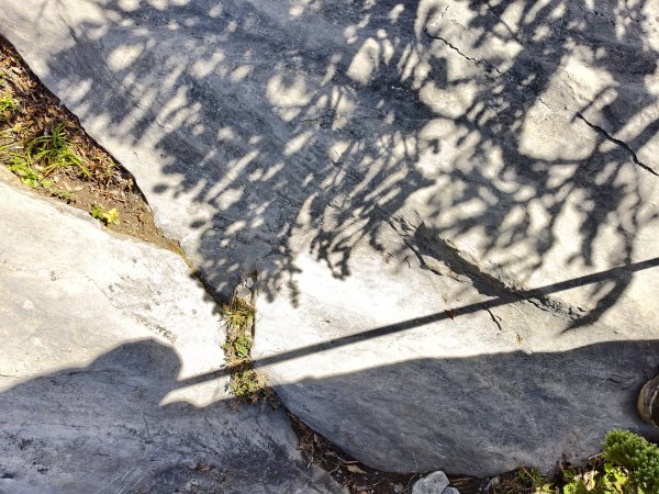 北一段(08/14)陶塞峰 2025_0906~132886954