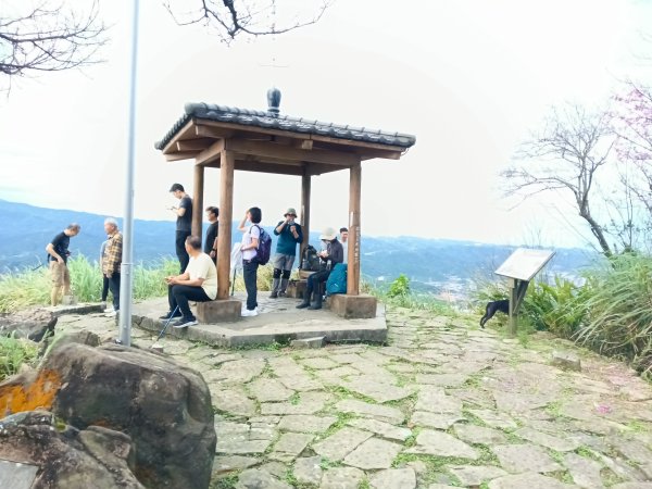 汐止區大尖山櫻花+秀峰瀑布O型3009388