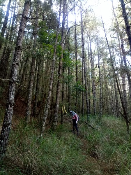 將軍廟上天鑾池+武法奈尾山1881036