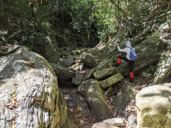 20210516屏東獅子女仍山/女乃山1390826