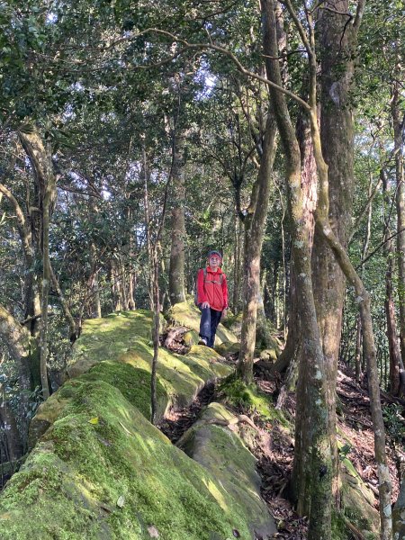 坐公車接駁的神仙縱走2707400