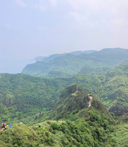 【北台灣郊山之王「瑞芳劍龍稜」 攀爬峭壁岩稜翻山越嶺驚險行】1337569