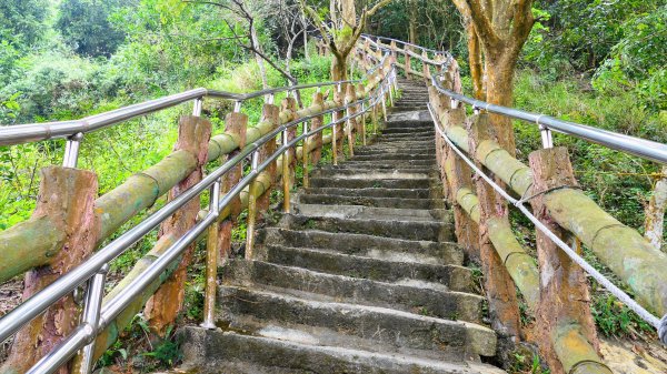 旗尾山,旗山老街與糖廠2672642