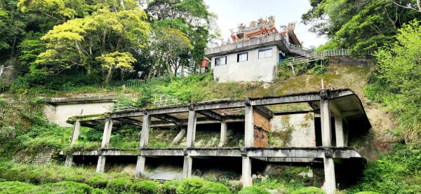 桃園東眼山，親子峰，尾寮崎古道，小角仔古道，街口溪步道，三峽阿屘尖，神木尖，牛角尖，牛角坑山2098473