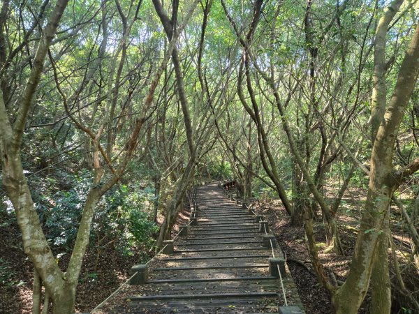 大肚環保公園3081833