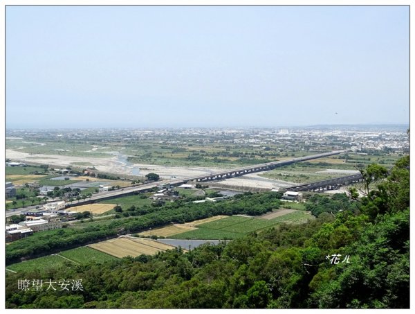 大甲/鐵砧山(小百岳)631028