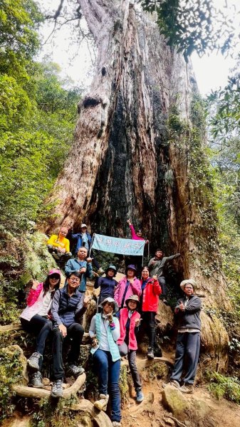 🌈3/15（日）北得拉曼神木+內鳥嘴山✨FB：熊熊趴爬走🌈3016858