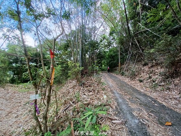 【高雄甲仙】沒有朵朵白雲。 小百岳集起來。 編號69小百岳-白雲山步道1713211