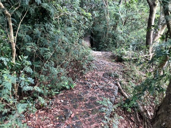 烏山步道走刣牛湖山468610