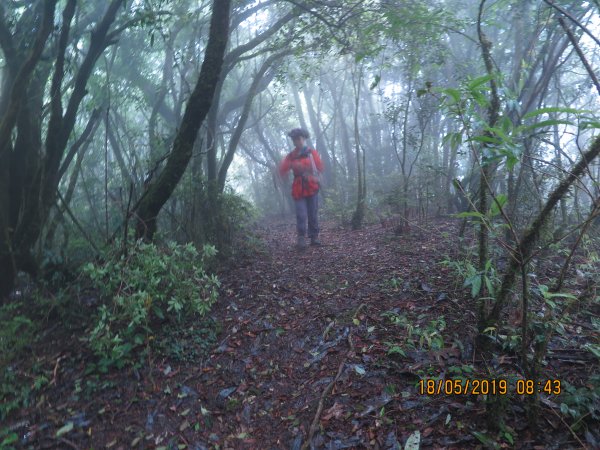 李崠山 馬望僧侶山連走589263