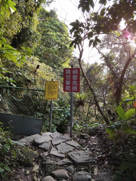 南港山縱走親山步道1679321