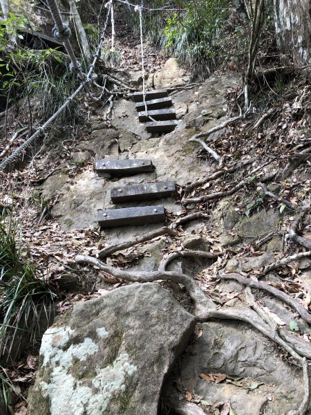 梅峰古道.獵鷹尖 一線天597028