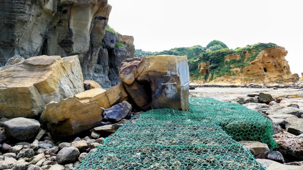 和平島(含阿拉寶灣)2821373