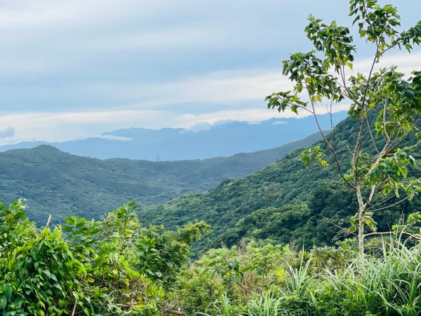 1140926坪頂古圳親山步道2895473