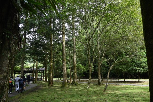 2025_0712 福山植物園2836143