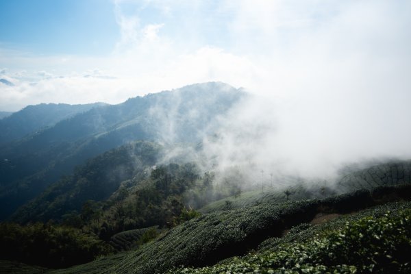 雲嘉七連峰 2025年12月2968922