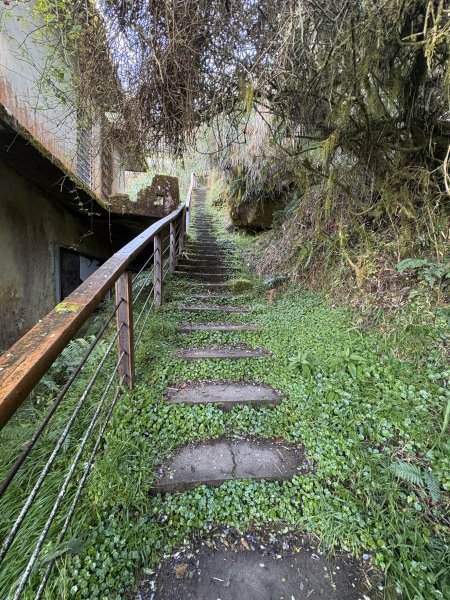 20251225塔山步道(大塔山)2970417