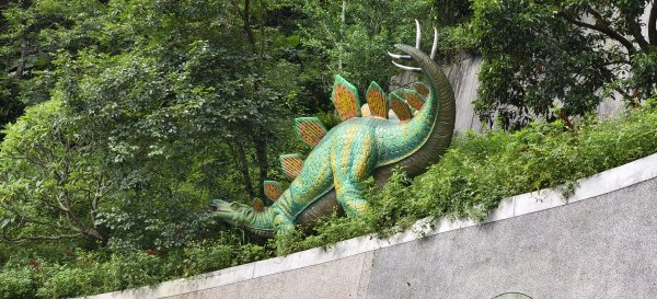 2025/05/31_烘爐地登山步道(南勢角山)2801437