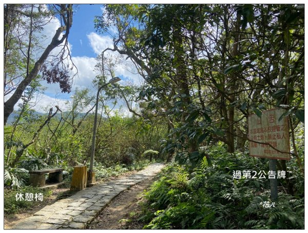 炮子林山、樟山、恆光橋崙 (政大三小山)2715732