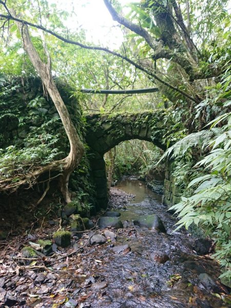 璀璨百年淡蘭古道～崩山坑古道、溪尾寮山、保城坑古道、虎豹潭步道O走1313464