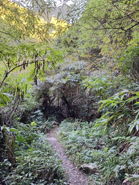 稍來神木+稍來山+稍來山南峰O型202412292678965