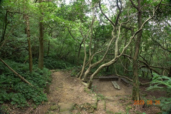 基隆 頂寮山、龍門山、五分山、頂子寮山2265970