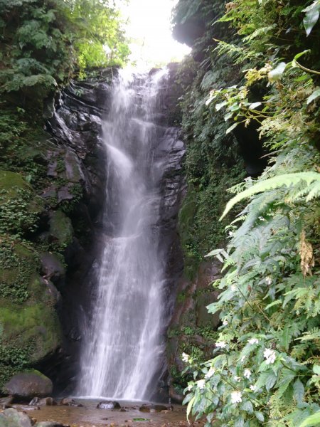 泰安瀑布-姜子寮山步道821747