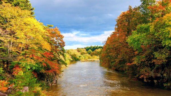 岩手縣嚴美溪2930224