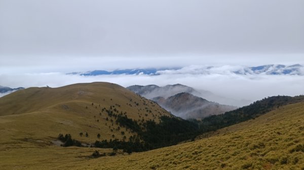 百岳:三叉山1979139